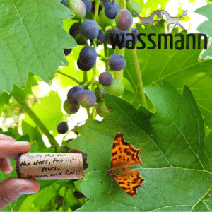Wassmann Cork and Butterfly