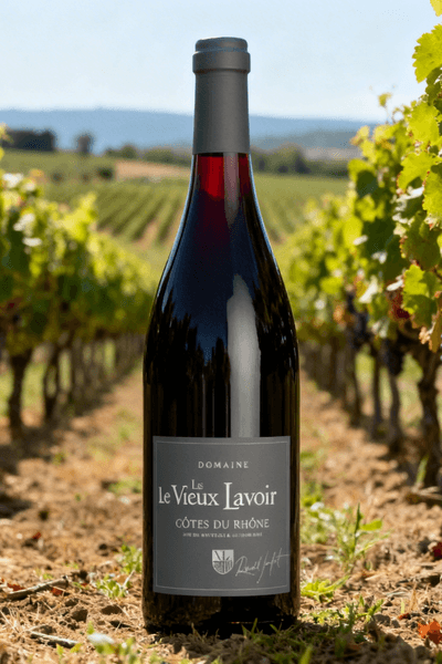 Les Vignobles Roudil Jouffret (3) (1)