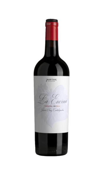Bodegas Javier Sanz Paraje ’La Encina’ Bruñal