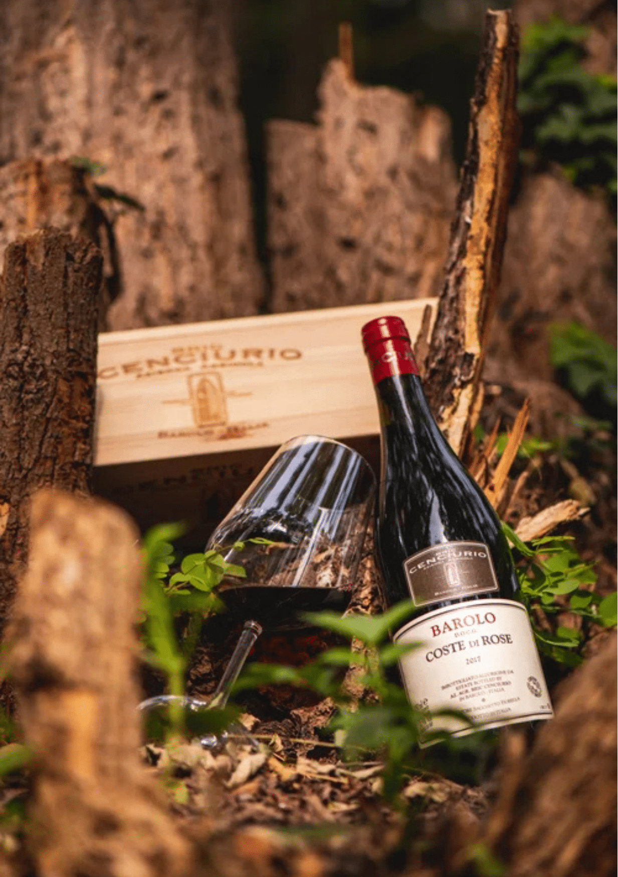Bric Cenciurio Barolo