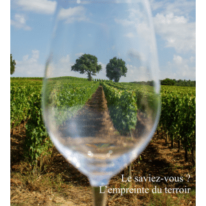 Gourmet Wine - Clos de Jacobins Vinglas - Clos de Jacobins