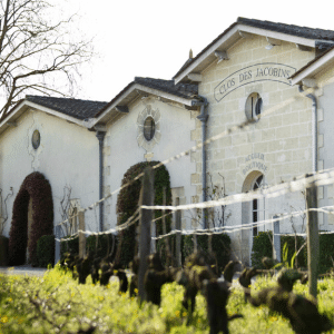 Clos de Jacobins - vingård og vinmark Clos de Jacobins - vingård og vinmark