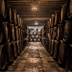 Gutiérrez Colosía Vinkælderen Bodegas Gutiérrez Colosía - Photo: Carmen Gutiérrez