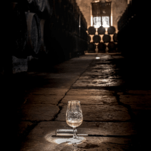Gutiérrez Colosía glas vinkælder Bodegas Gutiérrez Colosía - Photo: Carmen Gutiérrez