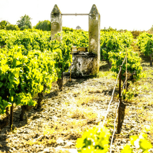 Gutiérrez Colosía vinmarken Bodegas Gutiérrez Colosía - Photo: Carmen Gutiérrez