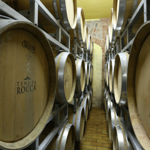 Tenuta Rocca Winery, Cellar