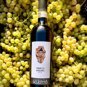Tenute Scuotto Fiano bottle in grapes