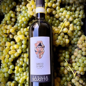Tenute Scuotto Gracoditufo vin i druer