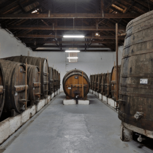 Vista Alegre Cellar
